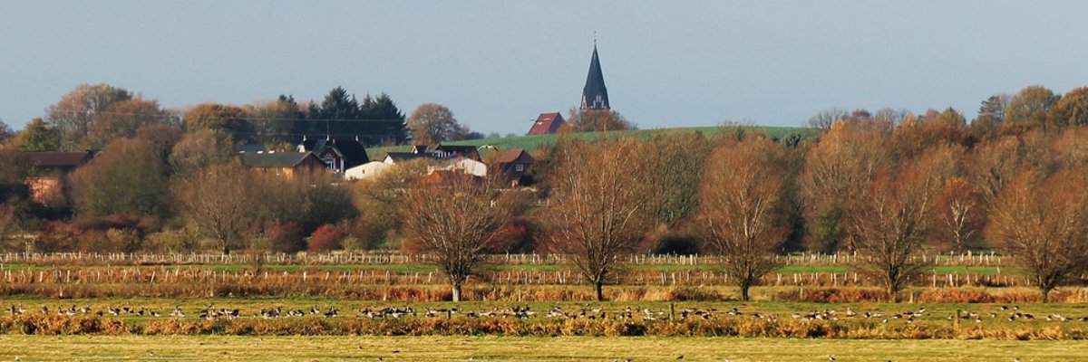 Blick über eine feuchte Wiesenlandschaft mit Teichen auf ein Dorf mit Kirche und Bäumen im Hintergrund.
