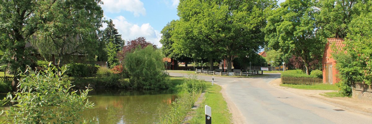 Dorfstraße in Lankau mit Teich am Straßenrand, umgeben von Bäumen und alten Gebäuden unter blauem Himmel mit weißen Wolken.