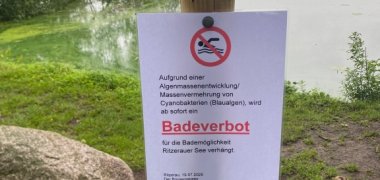 Hinweisschild am Ritzerauer See mit Badeverbot wegen Blaualgen, im Hintergrund der See mit grünlicher Wasseroberfläche.