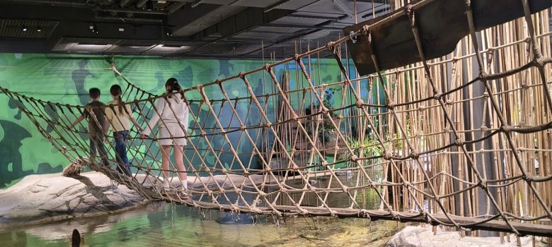 Ausstellungsbereich im Klimahaus mit Hängebrücke über einer nachgebildeten Wasserlandschaft.