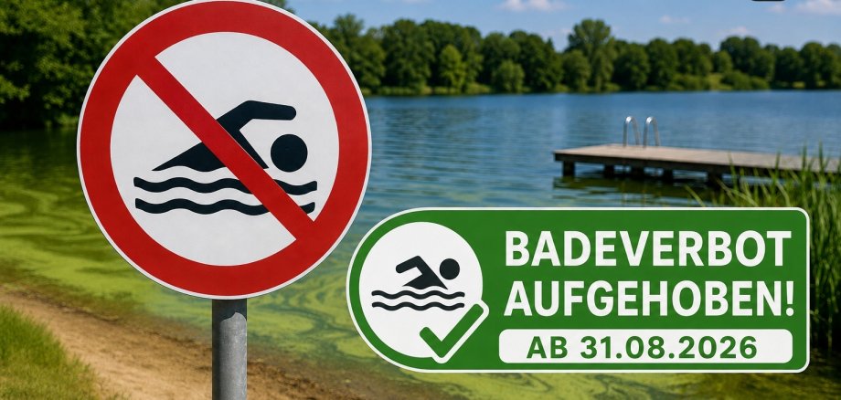 Ein Badeverbotsschild steht am Ufer eines Sees. Im flachen Wasser sind grünliche Blaualgen deutlich zu erkennen. Im Hintergrund befinden sich ein Badesteg und ein bewaldetes Ufer bei sonnigem Wetter. Das Bild weist auf ein vorübergehendes Badeverbot wegen Blaualgen hin. Ein Hinweis mit der Aufhebung zum 31.08. ist dort vermerkt.
